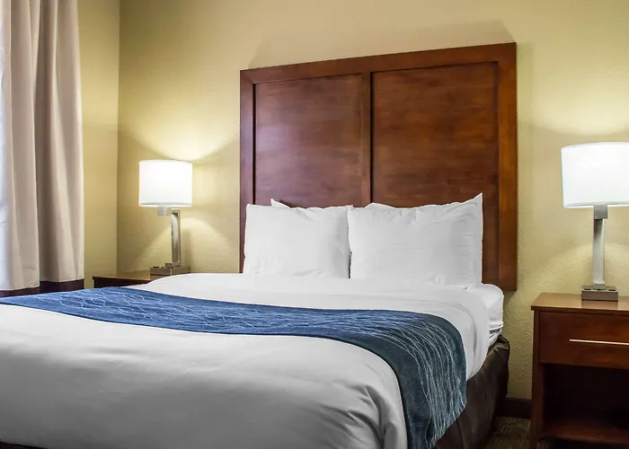 Hotel Spark By Hilton Phoenix-glendale-peoria 2*