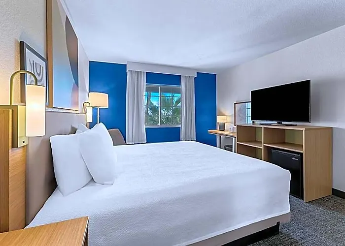 Spark By Hilton Phoenix-glendale-peoria
