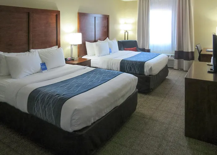 Hotel Spark By Hilton Phoenix-glendale-peoria