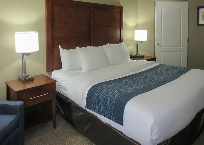 Spark By Hilton Phoenix-glendale-peoria