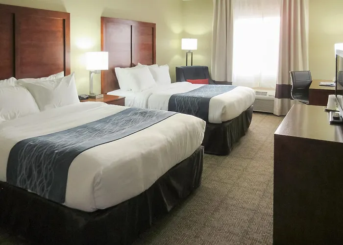 Hotel Spark By Hilton Phoenix-glendale-peoria