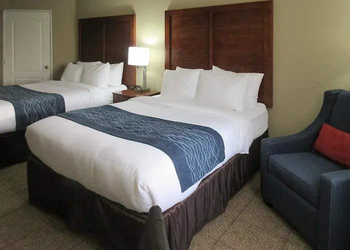 Hotel Spark By Hilton Phoenix-glendale-peoria 2*
