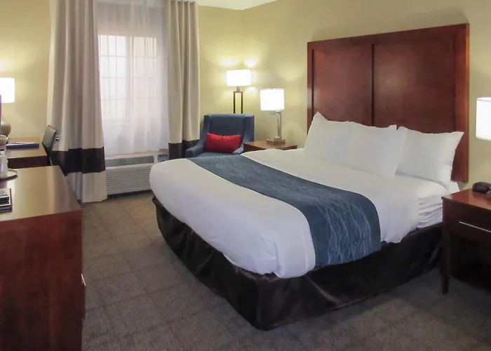 Hotel Spark By Hilton Phoenix-glendale-peoria Glendale